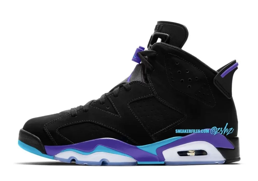 Black and purple jordan 6 on sale