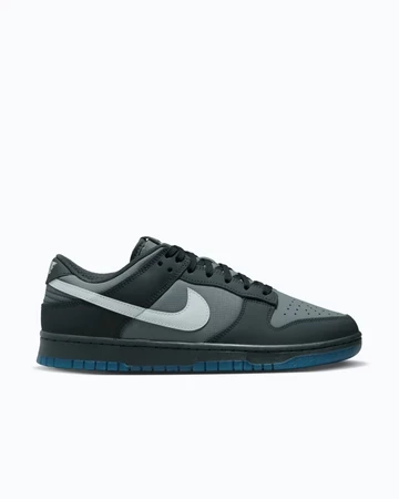 Dunk Low Anthracite Außenseite