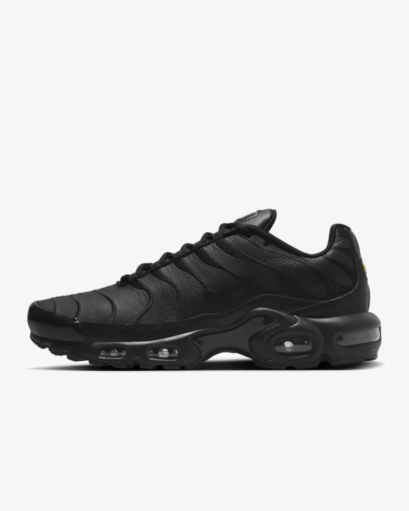 Air Max Plus Black Leather AJ2029 001 Dead Stock