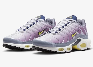 Nike Air Max Plus Violet Dust Paar