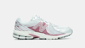 Northern Lights New Balance 860 v2 Pack Rosewood Außenseite