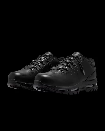 Nike Air Max Goadome Low Black schräg