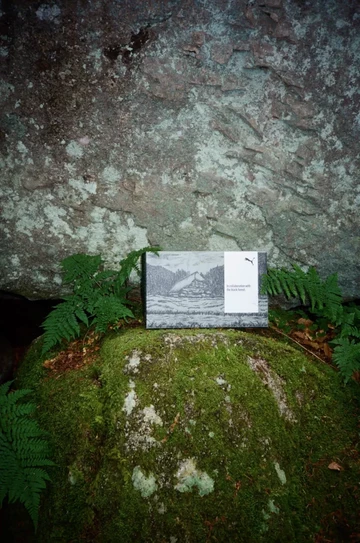 Black Forest Puma Velophasis Into the Nature Lookbook Box