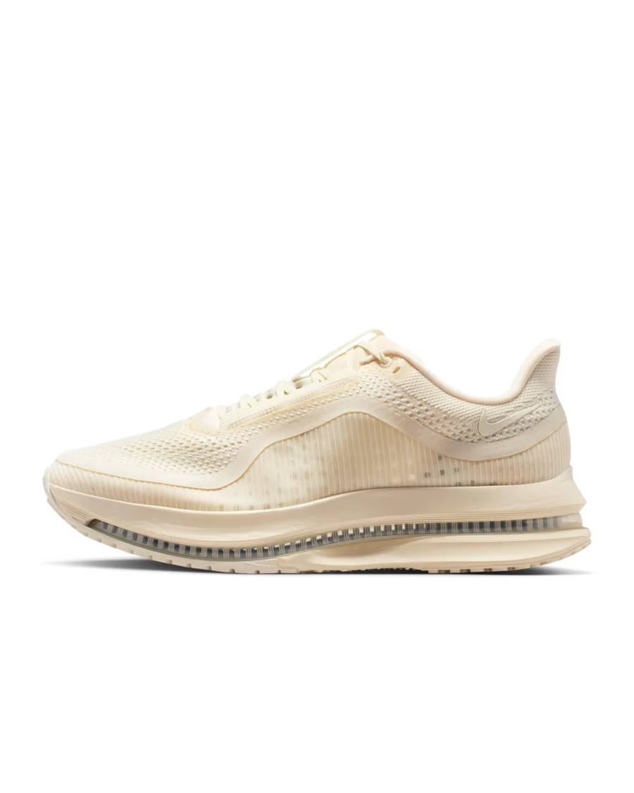 Nike Pegasus Premium Natural IQ5691-100 | Dead Stock