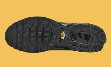 Air Max Plus Wolf Grey Sohle