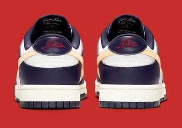 Dunk Low From Nike To You von Hinten