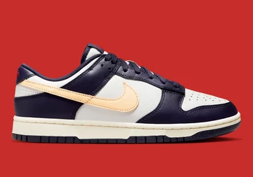 Dunk Low From Nike To You Innenseite