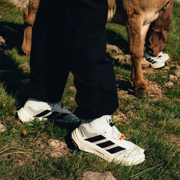 adidas Terrex Freehiker 3 Ultra GTX Cloud White