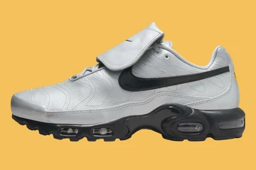 Air Max Plus Wolf Grey Außenseite