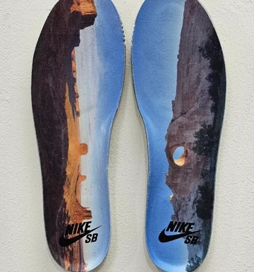 Di'orr Greenwood Nike SB Dunk High einlegesohle