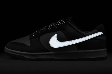Dunk Low Smoke Grey Gum 3M Swoosh Dark