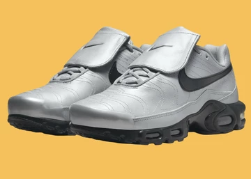 Air Max Plus Wolf Grey Paar