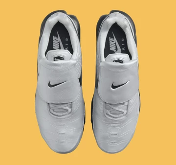 Air Max Plus Wolf Grey von oben