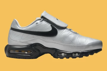 Air Max Plus Wolf Grey Innenseite