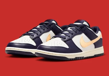Dunk Low From Nike To You Paar