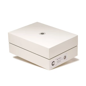 Extra Butter adidas Samba - Karton