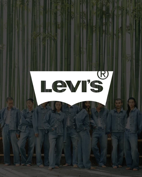 Levis Image