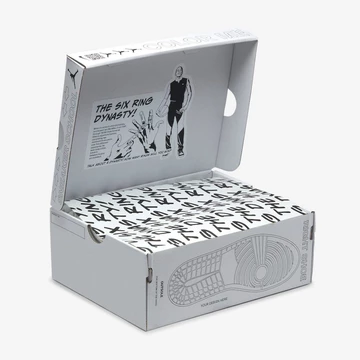 Jordan 1 Mid GS Six Championships FD1317-007 Release Box Karton