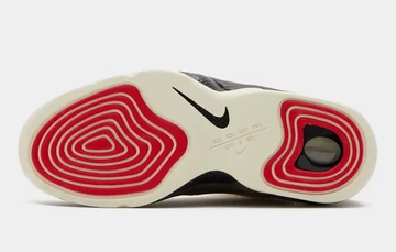 Nike Air Penny 2 Brown sohle