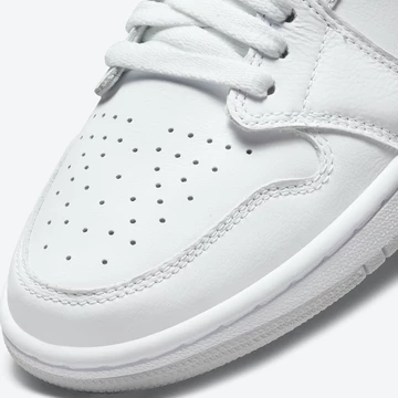 Auf dem Bild sieht man den Mudgard beim Jordan 1