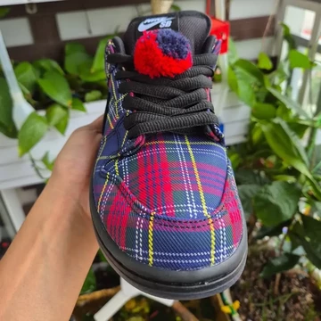 Nardwuar x Nike SB Dunk Low Red Blue