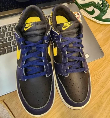 Dunk Low Vintage Michigan - Das Paar steht auf einem Laptop man sieht es von vorne