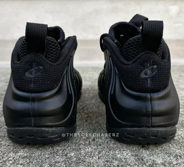 Nike Air Foamposite One Anthracite Leak Foto
