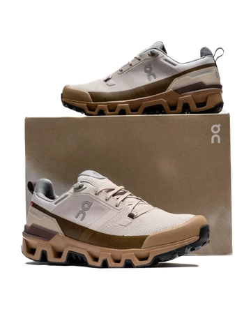 On Running Cloudwander Waterproof Root auf dem Karton