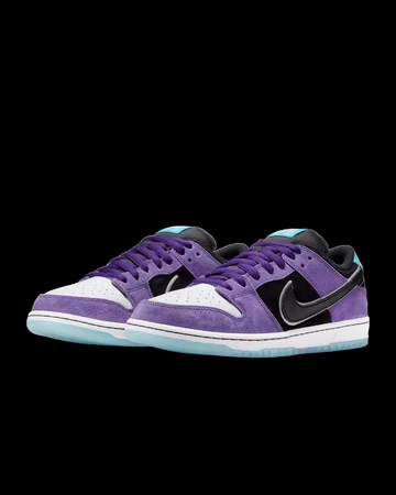 Hayley Wilson x Nike SB Dunk Low Pro schräg