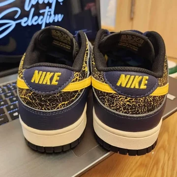 Dunk Low Vintage Michigan - Das Paar steht auf einem Laptop man sieht es von hinten