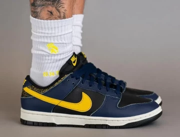 Dunk Low Vintage Michigan On-Feet