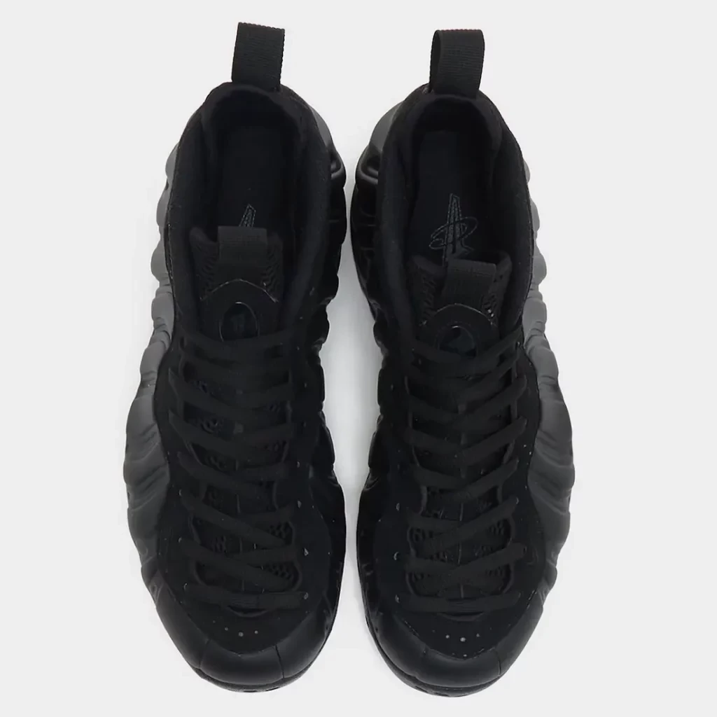 Nike Air Foamposite One Anthracite FD5855-001 | Dead Stock