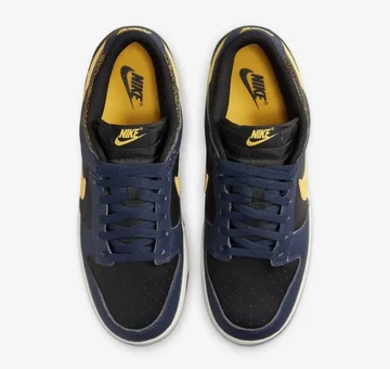 Dunk Low Vintage Michigan von oben