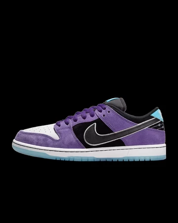 Hayley Wilson x Nike SB Dunk Low Pro Außenseite