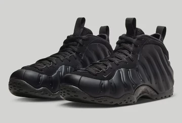 Nike Air Foamposite One Anthracite schräg