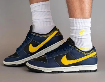 Dunk Low Vintage Michigan On-Feet