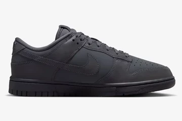 Dunk Low Cyber Reflective Innenseite