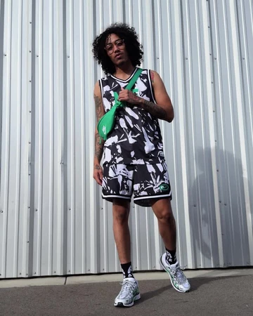 Nike P-6000 Silver Spring