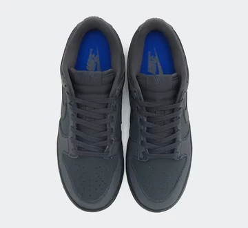 Dunk Low Cyber Reflective von Oben