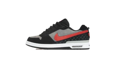Paul Rodriguez x Nike Zoom Air Low Black
