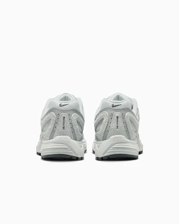 Nike Air Pegasus 2k5 Pure Platinum Paar Fersen