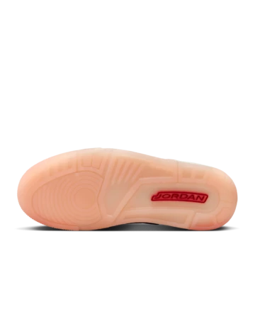 Jordan 3 Retro Treat Yourself Sohle