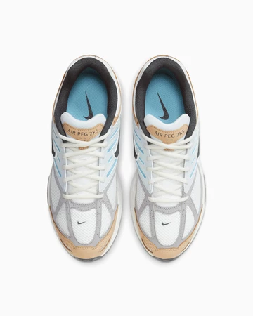 Nike Air Pegasus 2K5 Aquarius Paar von oben