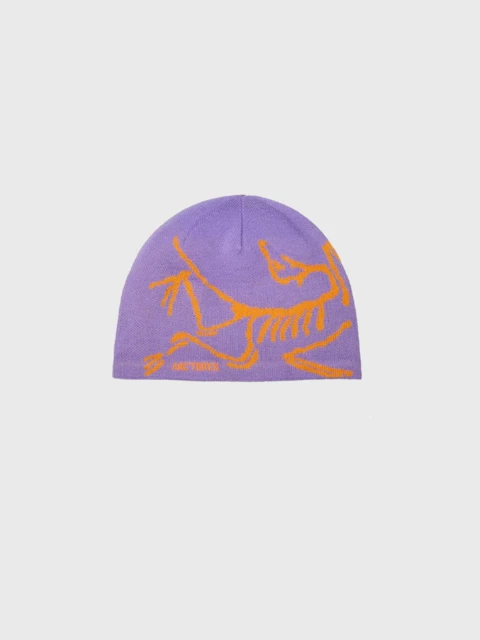 Arc'teryx Bird Head Toque Image