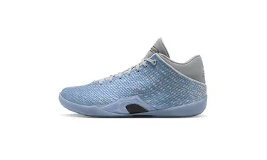 Nike Air Jordan 41 Light Base Grey