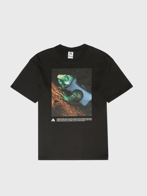 Nike ACG Dri Fit Iguana Tee  Image