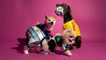 adidas World Cup Pet Collection