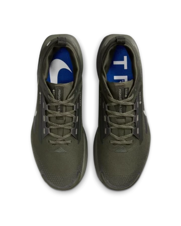 Nike Pegasus Trail 5 Gore-Tex Sequoia Paar von oben