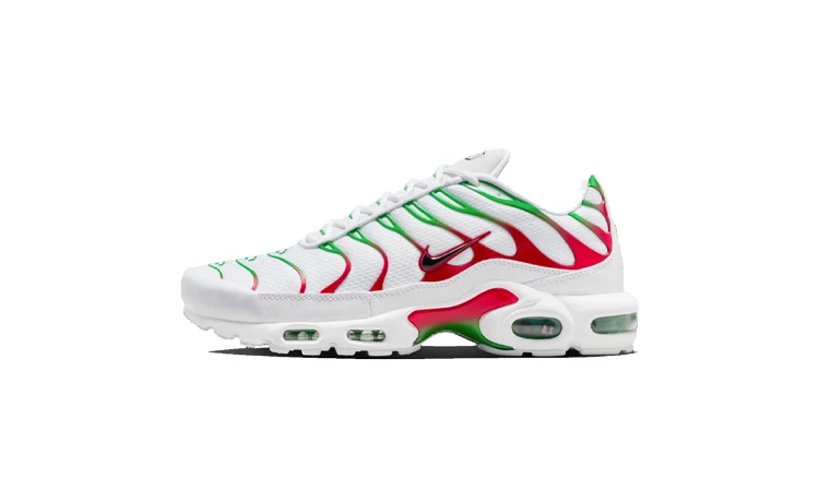Nike Air Max Plus Italy