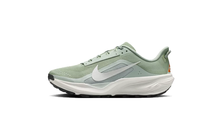 Nike ACG Pegasus Trail Jade Horizon